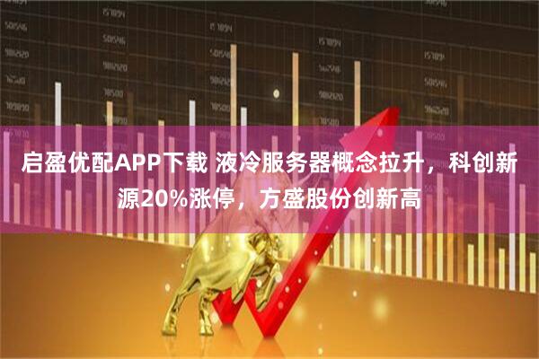 启盈优配APP下载 液冷服务器概念拉升,科创新源20%涨停,方盛股份创新高