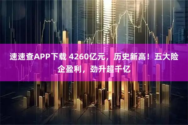 速速查APP下载 4260亿元，历史新高！五大险企盈利，劲升超千亿