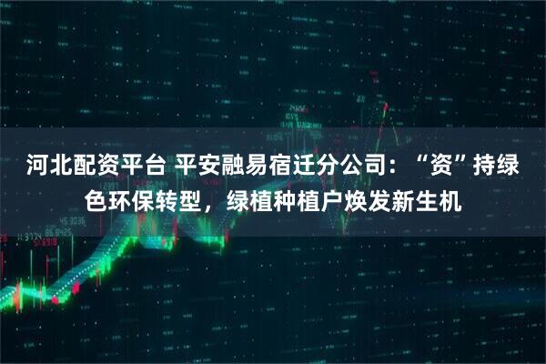 河北配资平台 平安融易宿迁分公司：“资”持绿色环保转型，绿植种植户焕发新生机