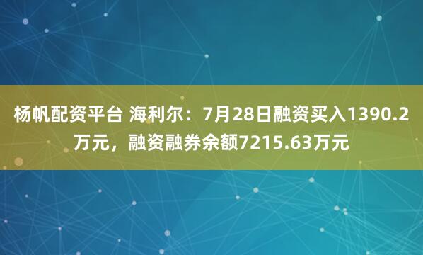 杨帆配资平台 海利尔：7月28日融资买入1390.2万元，融资融券余额7215.63万元