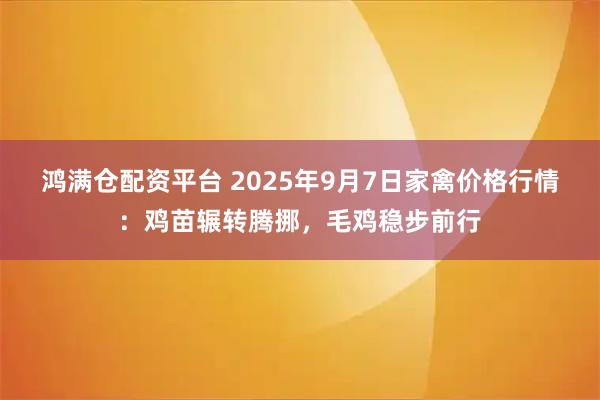 鸿满仓配资平台 2025年9月7日家禽价格行情:鸡苗辗转腾挪,毛鸡稳步前行