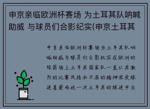 申京亲临欧洲杯赛场 为土耳其队呐喊助威 与球员们合影纪实(申京土耳其联赛数据)