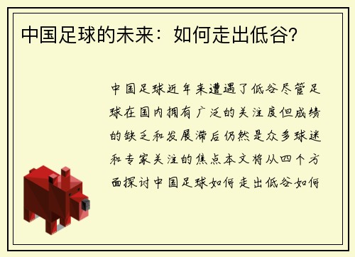 中国足球的未来：如何走出低谷？