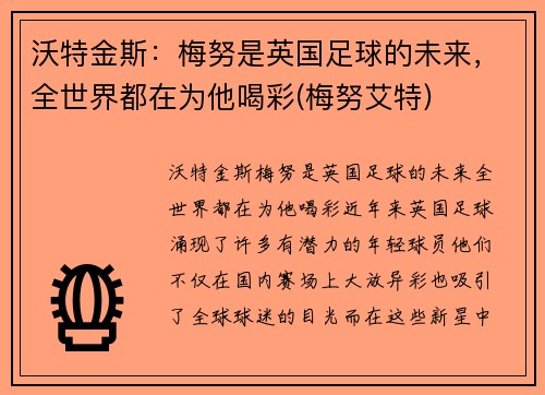 沃特金斯：梅努是英国足球的未来，全世界都在为他喝彩(梅努艾特)